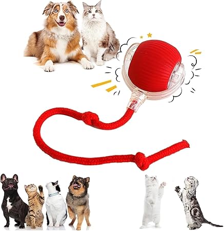 Why Every Pet Parent Needs an Interactive Ball Toy