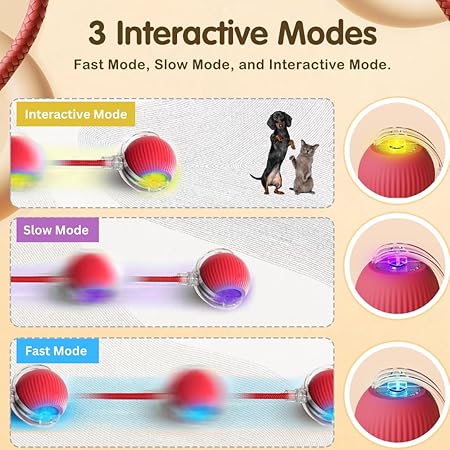 Interactive Ball Toy with Tail – Keep Pets Active & Entertained!