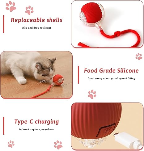 Interactive Ball Toy with Tail – Keep Pets Active & Entertained!