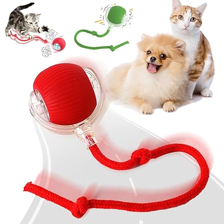 Interactive Ball Toy with Tail – Keep Pets Active & Entertained!