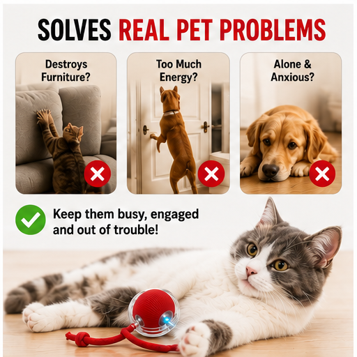 Interactive Ball Toy with Tail – Keep Pets Active & Entertained!