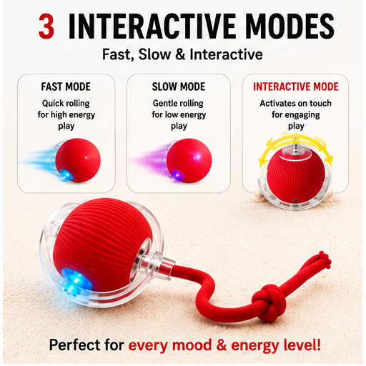 Interactive Ball Toy with Tail – Keep Pets Active & Entertained!