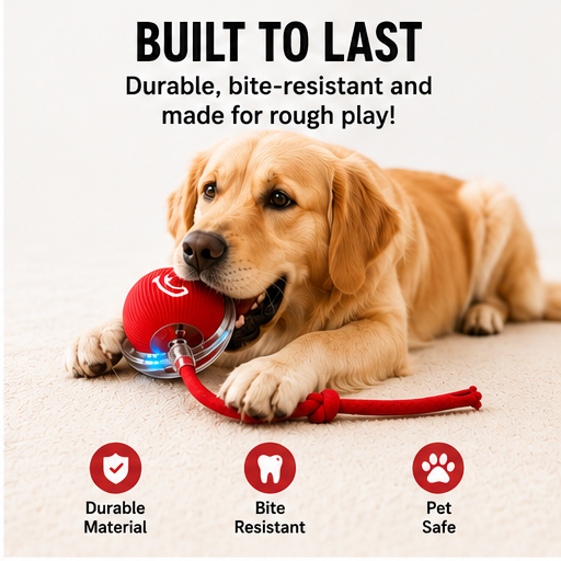 Interactive Ball Toy with Tail – Keep Pets Active & Entertained!