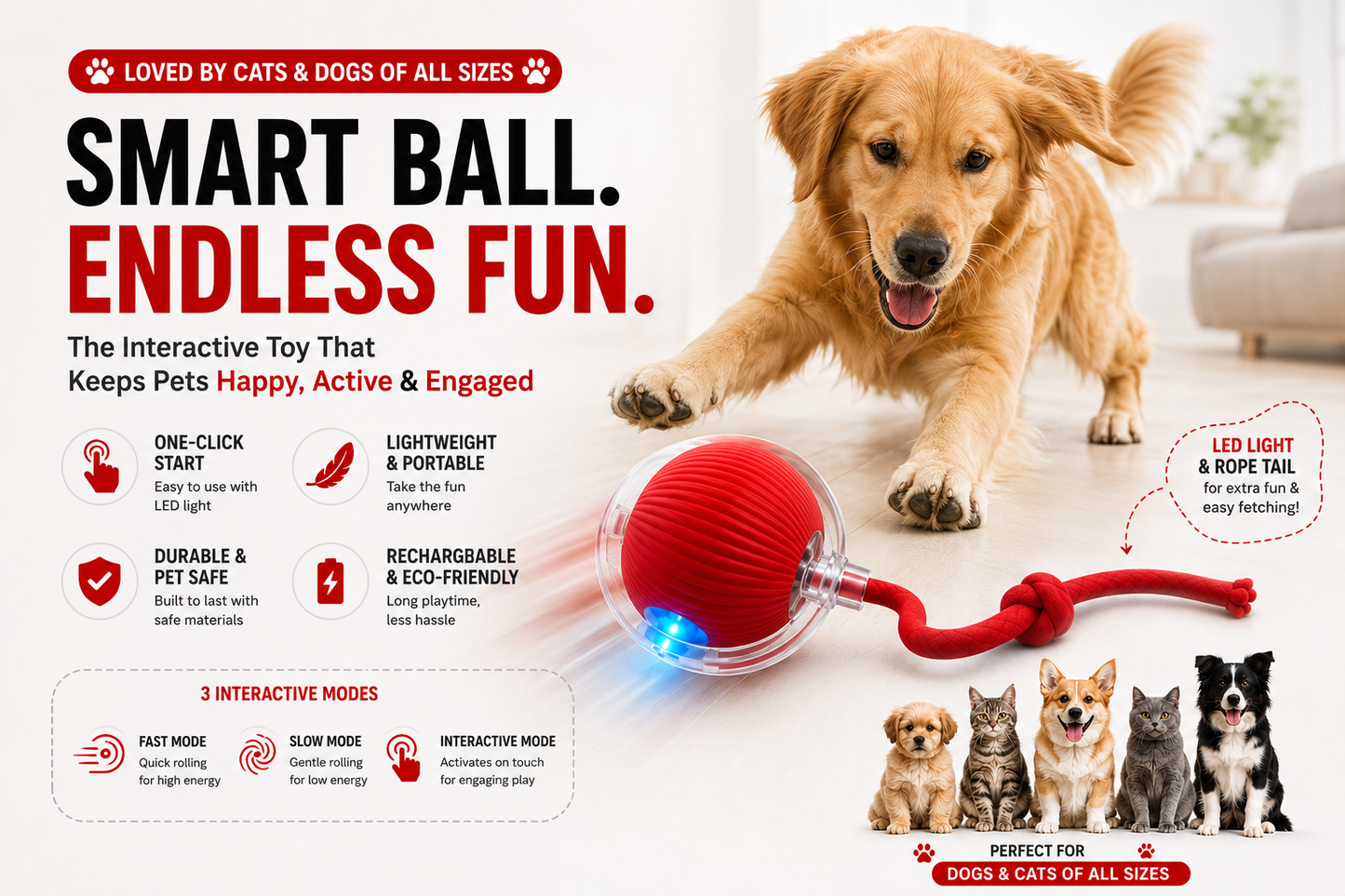 Interactive Ball Toy with Tail – Keep Pets Active & Entertained!